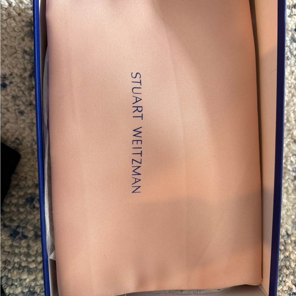NEW with bag and shoe box. Staurt Weitzman Black and Gray Mary Jane Heels - Picture 6 of 7